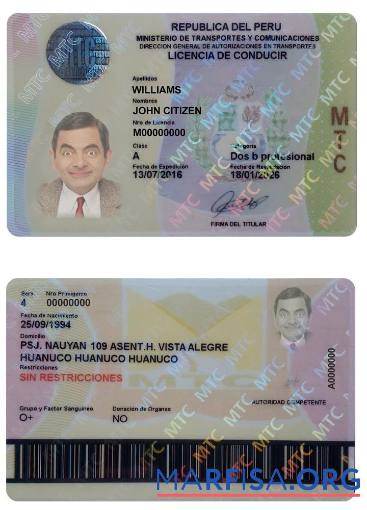 Realistic Peru driving license real example